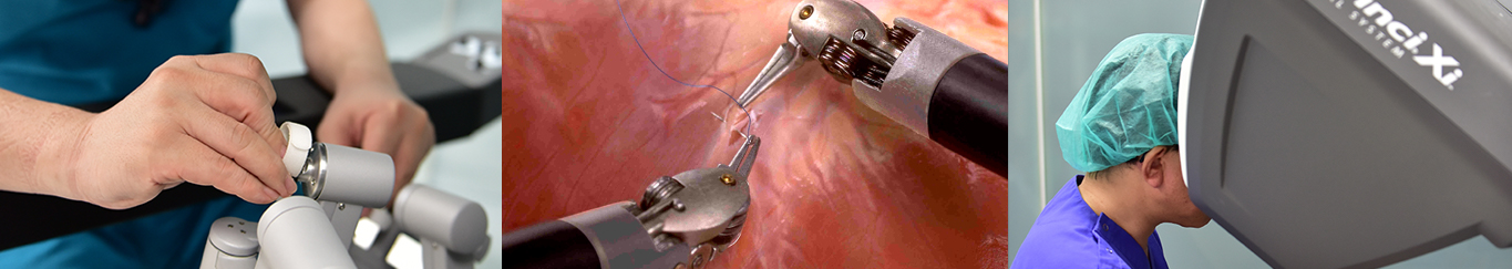 ご相談の多い症例